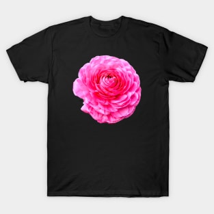 Rose Rose on black T-Shirt